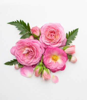 Flower-01