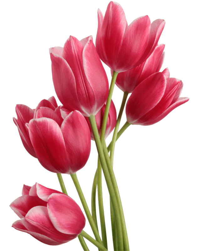 Flower-10